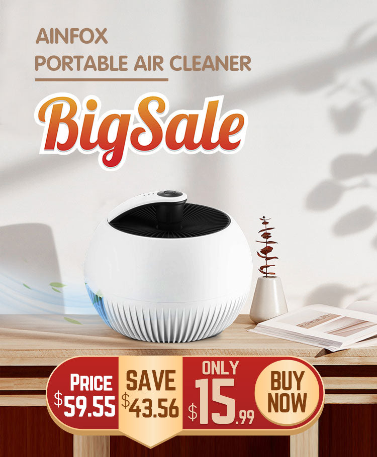 Home Air Cleaner