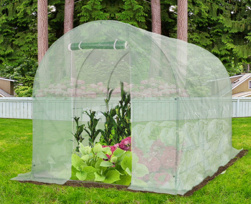 Ainfox Patio Greenhouse Walk-in Green House Portable Plastic Mini Greenhouse Gardening Plant Hot Outdoor House